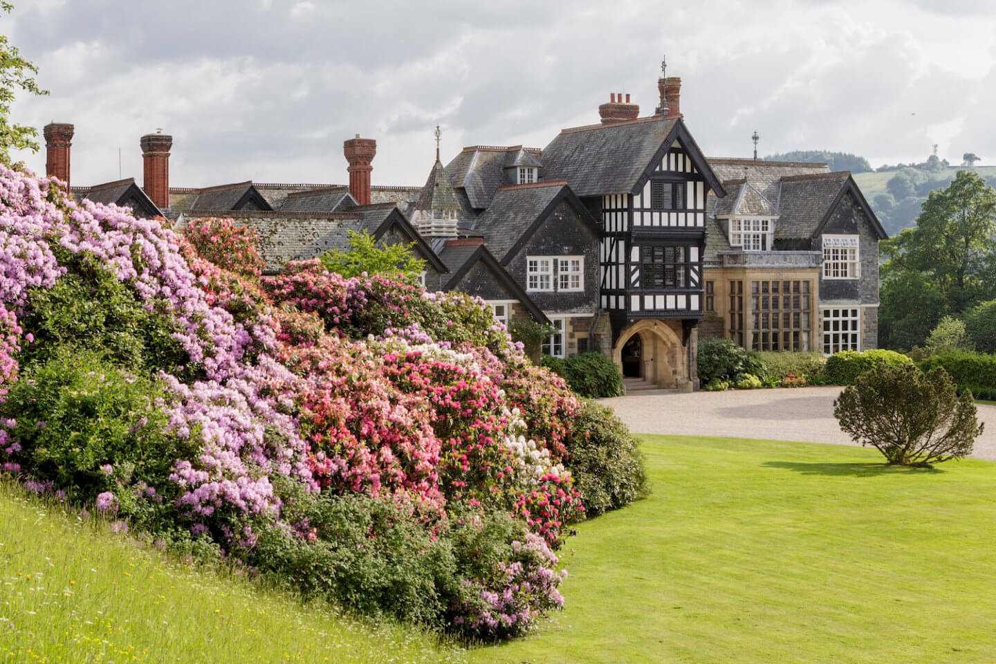 Plas Dinam Front